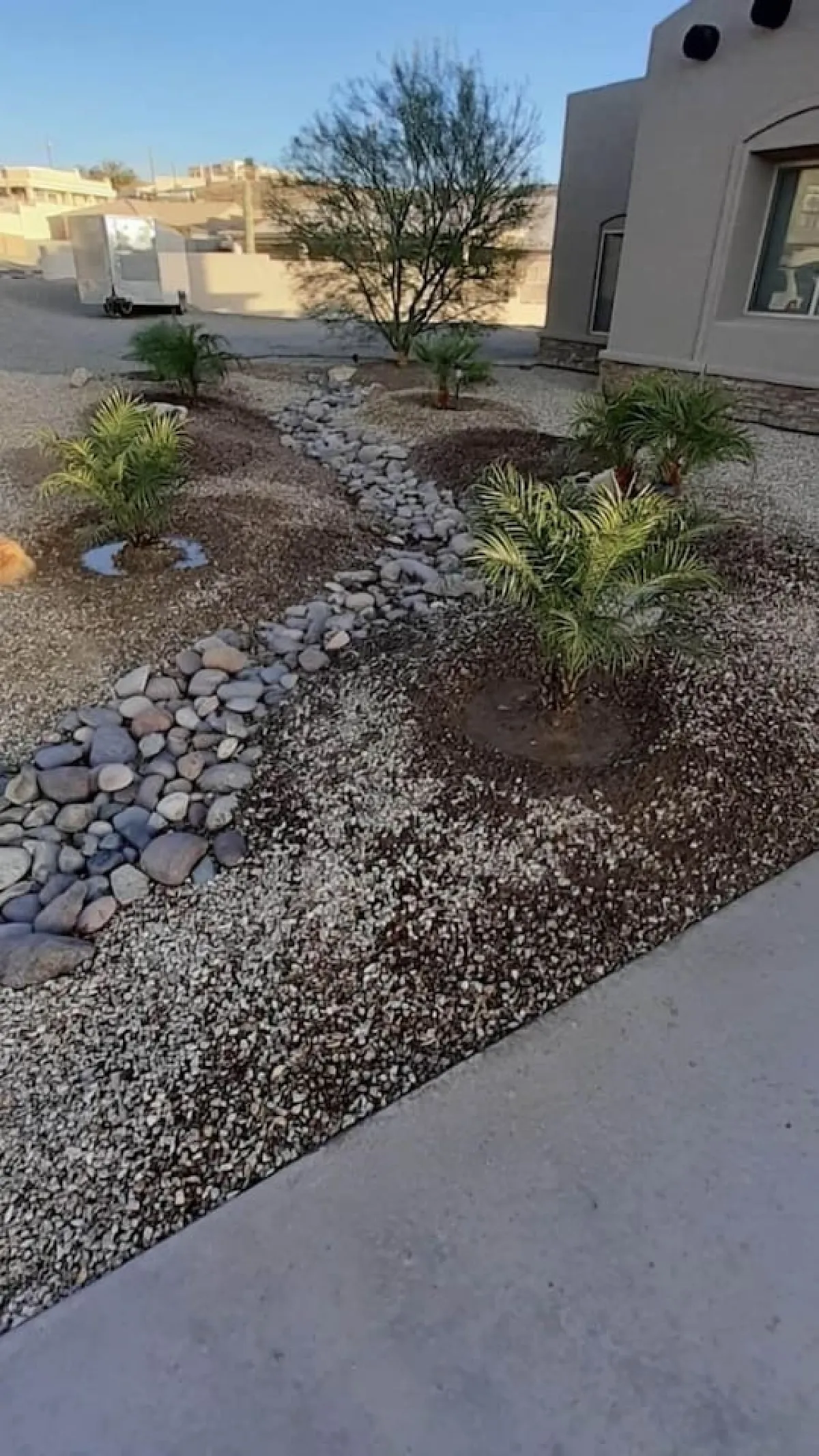 A tranquil backyard scene featuring palm trees, a stone pathway, and decorative rocks. The space is sunlit and landscaped, suggesting opportunities for relaxing, outdoor games, or family picnics under the open sky.