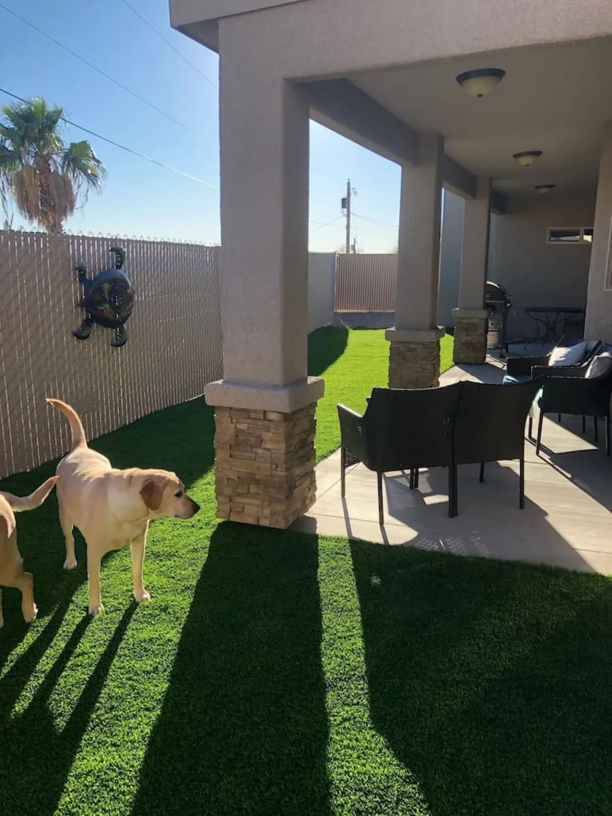 This image showcases a fenced backyard with artificial grass, patio seating, and playful dogs enjoying the space. The fenced area is clearly defined, and the setup invites relaxation and outdoor enjoyment, particularly for pet owners and families.